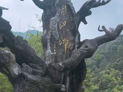 -龙湾潭国家森林公园