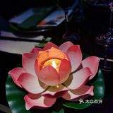 被这家精致的越南菜疯狂圈粉