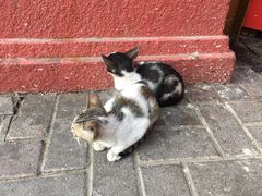 -迪拜黄金市场