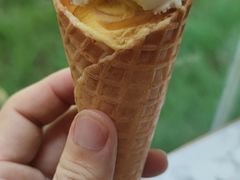 -厦门艾美酒店·新食谱西餐厅