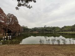 -东莞植物园