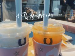 -春丽小马(济南恒隆广场店)