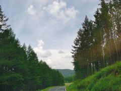 -塞罕坝国家级自然保护区