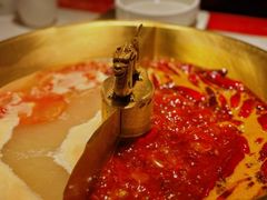 -小龙翻大江文化火锅(宽窄店)