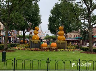 记录2020最远的旅程 ｜上海