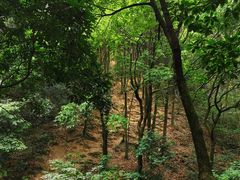 -火炉山森林公园