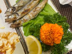 -樱の千渡日式料理·铁板烧•烧鸟(金盛田广场店)