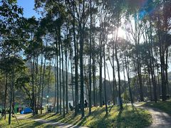 -广州市石门国家森林公园