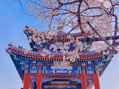 -颐和园