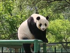 -天津市动物园