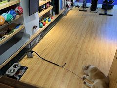 -YCHL Studios健身工作室(市二宫店)