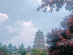 -大慈恩寺(大雁塔)