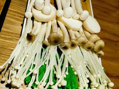 -尚海豆捞(乐虹坊店)