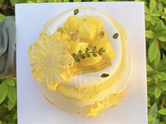 -卷心卷意·轻甜蛋糕(新光天地店)