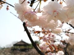 -梁鸿国家湿地公园