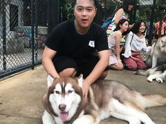 -TrueLove @ Neverland (Husky Cafe)