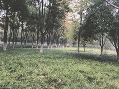 -后襄河公园