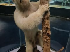 -昆明动物博物馆