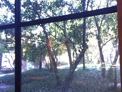 -星巴克(绍兴柯桥柯岩景区店)