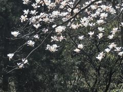 -音乐台