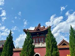 -大槐树寻根祭祖园