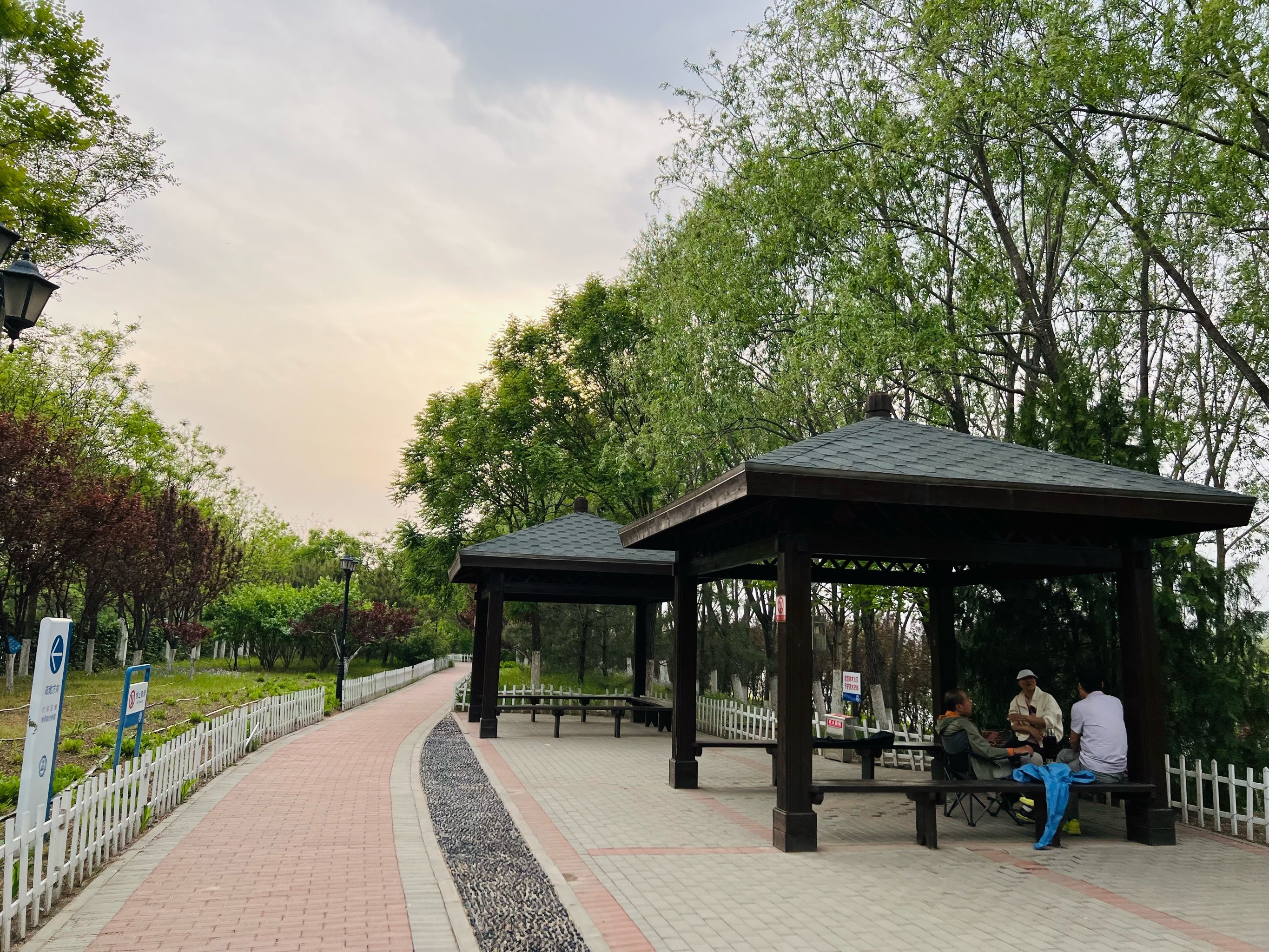 假期到, 来公园(🍀西郊砂石坑)踏青吧!