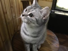 -隅cafe(傅厚岗店)