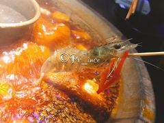 虾-九鼎轩脆毛肚火锅(商业街店)