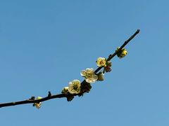 -苏州上方山国家森林公园