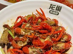 -龙巢盱眙龙虾·牛蛙·烧烤宵夜(八卦岭店)