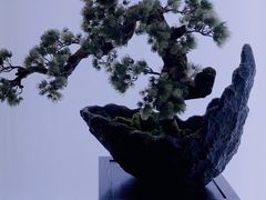 -滇铺子(欣都龙城店)