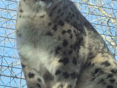 -青藏高原野生动物园