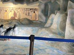 -中国第四纪冰川遗迹陈列馆