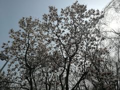 -白塘生态植物园