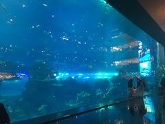 -成都浩海立方海洋公园