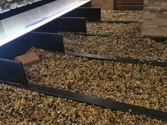 -极乐汇汗蒸会馆(杭州店)