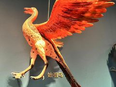 -自贡恐龙博物馆