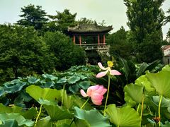 -国家植物园南园