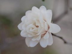 -国家植物园