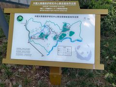 -中国大熊猫保护研究中心雅安碧峰峡基地