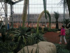 -南通洲际绿博园