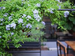 -转山咖啡(松柏社区店)