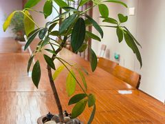 -煮叶(悠唐广场店)