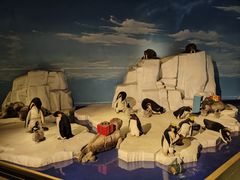 -成都泰迪熊博物馆