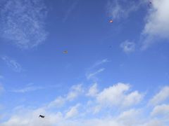 -吴淞炮台湾湿地森林公园烧烤区