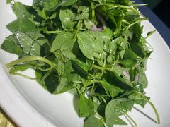 -金狮麟·新豫菜(金码大厦店)