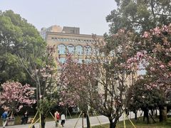 -长沙市青少年宫