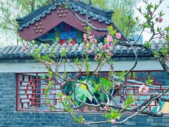 -莲花池公园