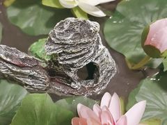 -广东胜利宾馆西关粤中餐厅