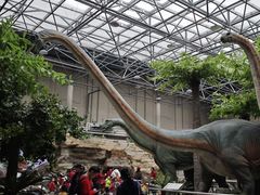 -国家自然博物馆